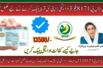 BISP 8171 Phase 3 Payment