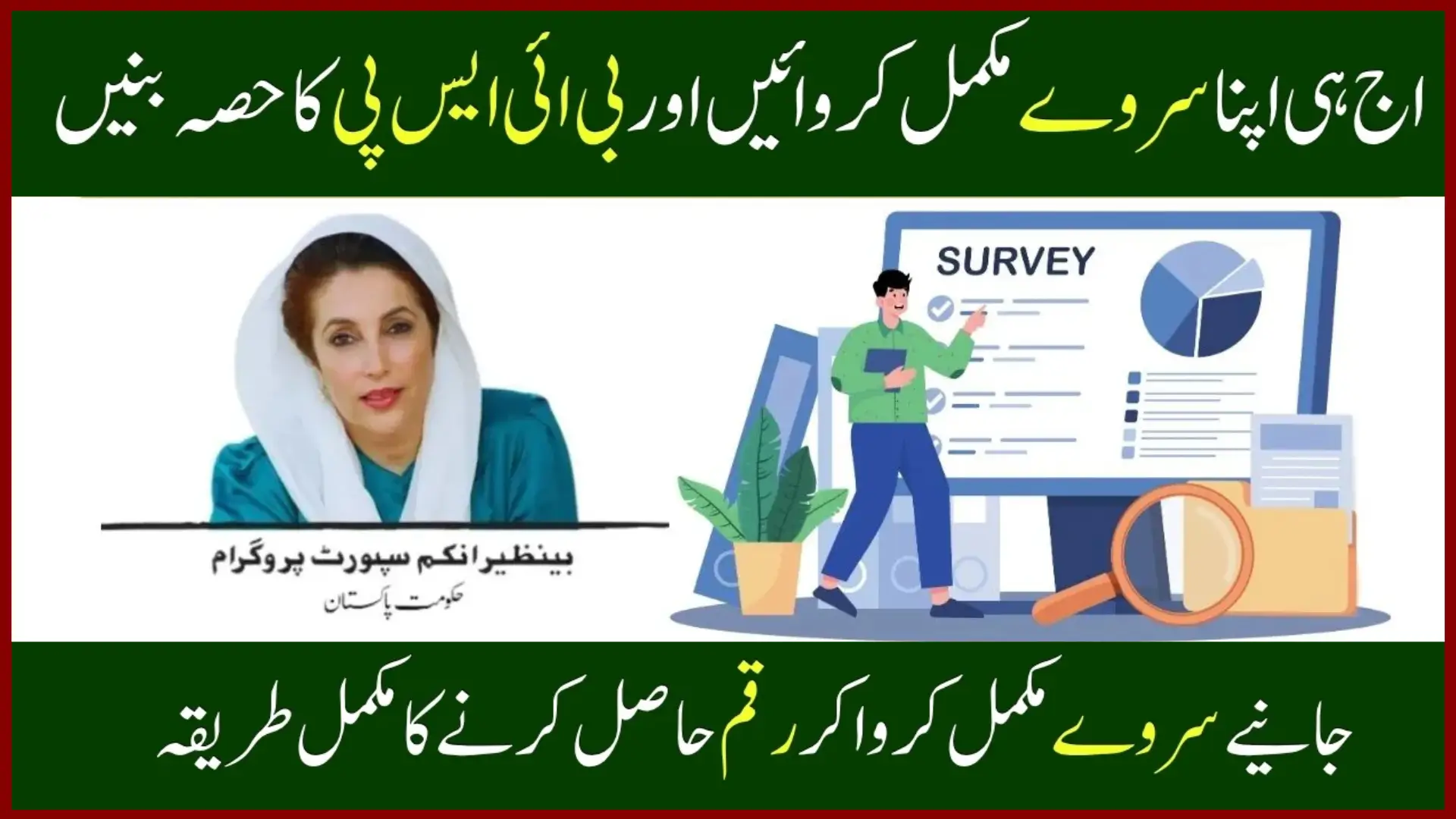 BISP NSER Survey 2025