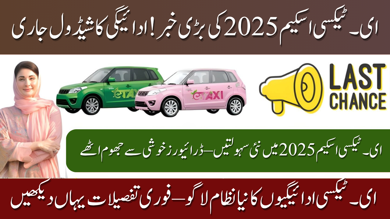 E-Taxi Scheme 2025 Repayment Schedule: Apply Online & Start Your Electric Taxi Business