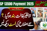 BISP 13500 October Payment 2025