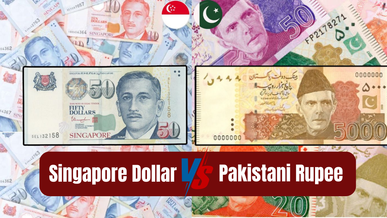 Singapore Dollar to Pakistani Rupee 2025 Exchange Rate Guide