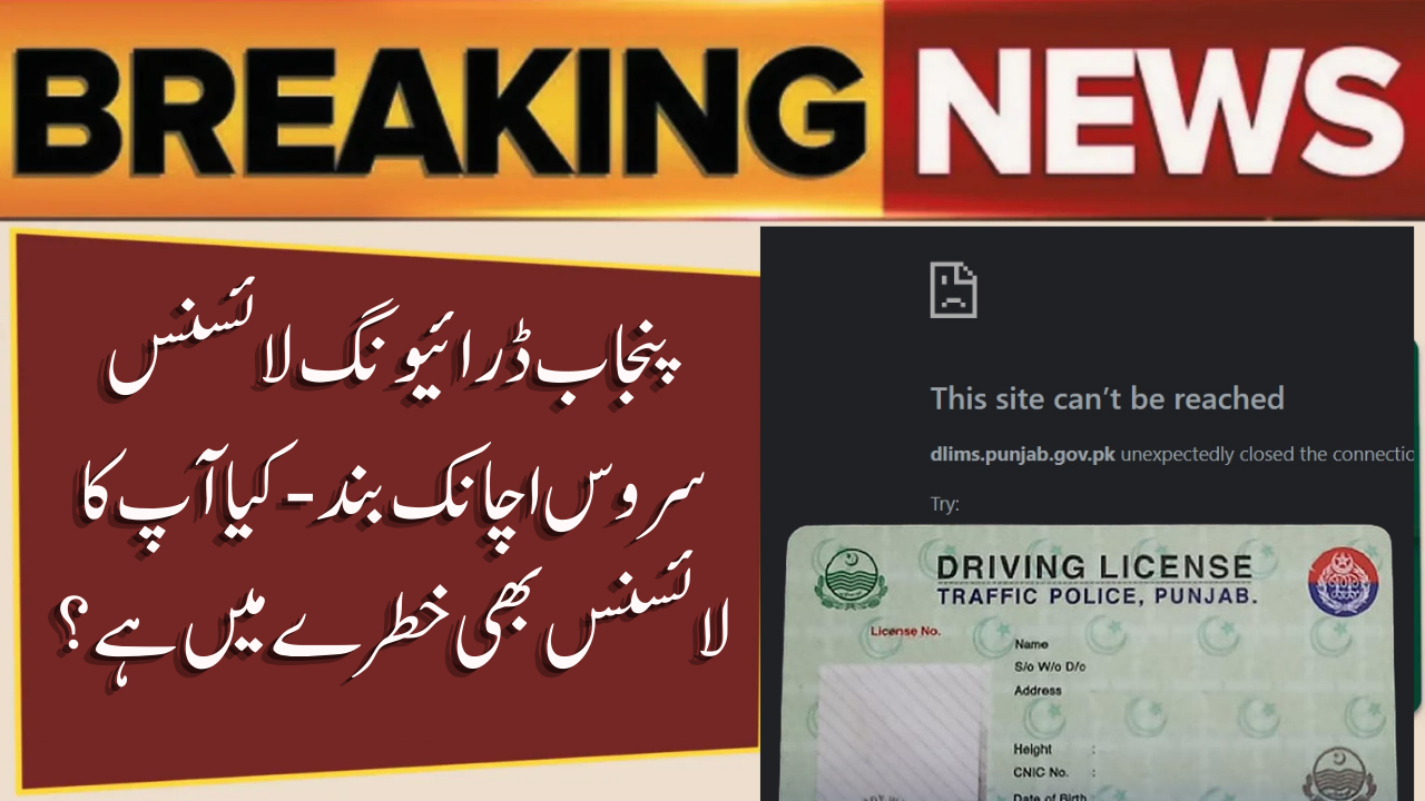 Punjab Driving License Service Down: What Residents Need to Know